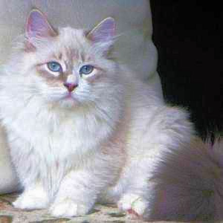 Name